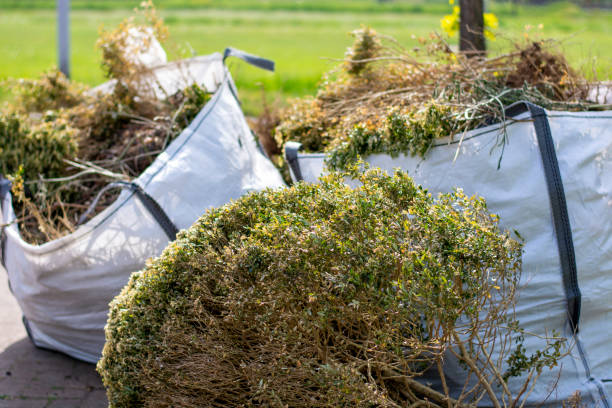Best Property Management Cleanouts  in Mount Pleasant, SC